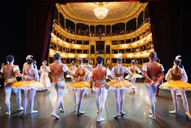 The corps de ballet on stage, seen from the wings